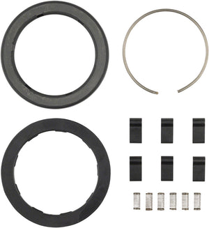 Zipp Spring and Pawl Set - ZR1