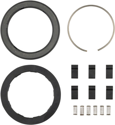 Zipp Spring and Pawl Set - ZR1