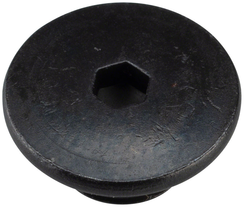 Shimano 105 ST-R7020 Hydraulic Brake/Shifter Bleed Screw and O-Ring