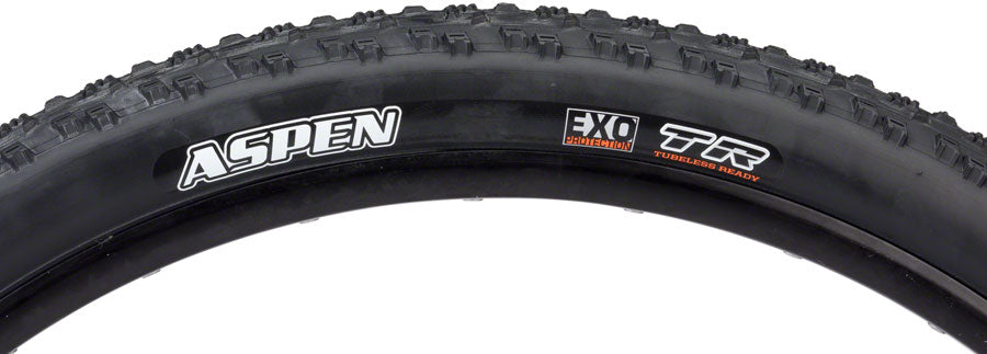 Maxxis Aspen Tire - 29 x 2.25, Tubeless, Folding, Black, Dual, EXO