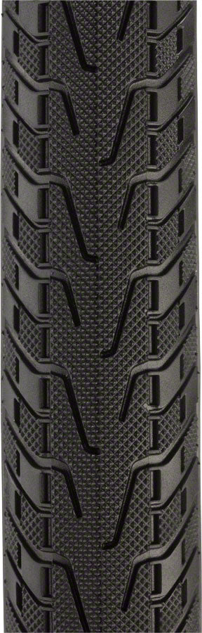 Panaracer Pasela ProTite Tire - 700 x 28, Clincher, Wire, Black/Tan, 60tpi
