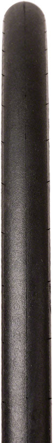 Panaracer AGILEST Tire - 700 x 25, Clincher, Folding, Black