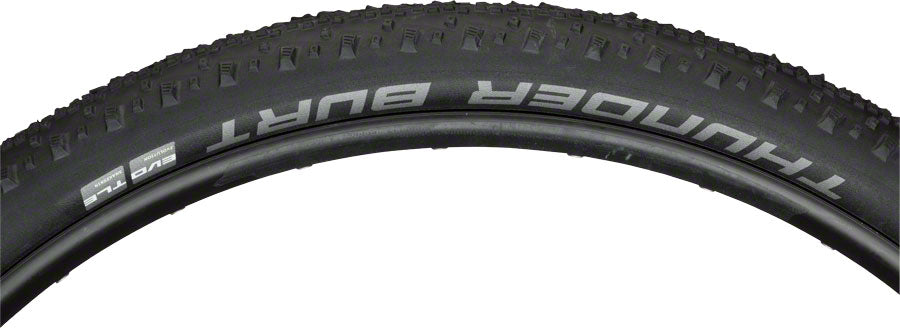 Schwalbe Thunder Burt Tire - 29 x 2.25, Tubeless, Folding, Black, Evolution, Super Ground, Addix Speed