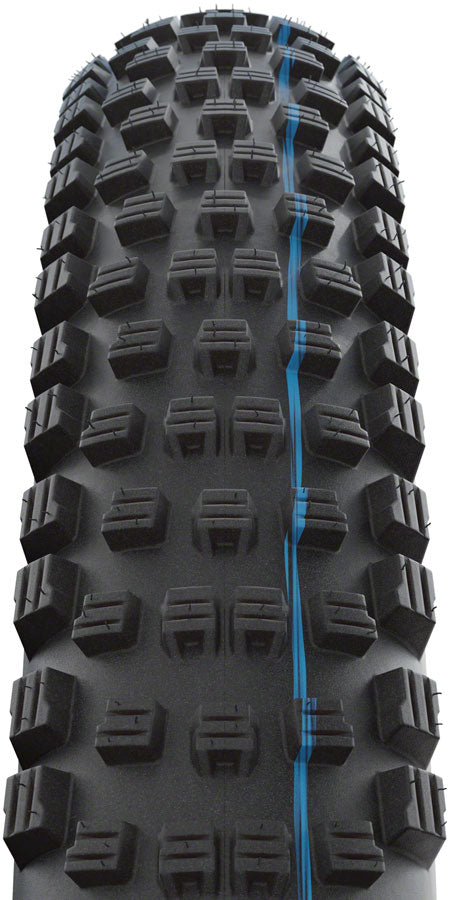 Schwalbe Wicked Will Tire - 29 x 2.4, Tubeless, Folding, Black/Transparent, Evolution Line, Super Race, Addix SpeedGrip