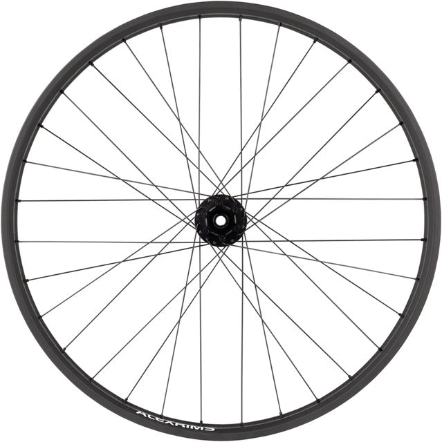 Quality Wheels Bear Pawls/Blizzerk Rear Wheel - 26" Fat, 12 x 197mm, 6-Bolt, HG 11, Black-3