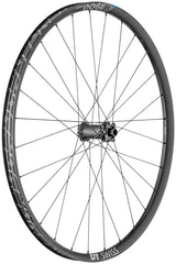 DT Swiss H 1900 Spline 30 Front Wheel - 29", 15 x 110mm, 6-Bolt, Black