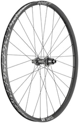DT Swiss E 1900 Spline 30 Rear Wheel - 29", 12 x 148mm, Center-Lock, Micro Spline, Black
