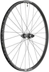 DT Swiss M 1900 Spline 30 Rear Wheel - 29", 12 x 148mm, Center-Lock, Micro Spline, Black
