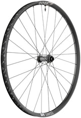 DT Swiss M 1900 Spline 30 Front Wheel - 29", 15 x 110mm, Center-Lock, Black