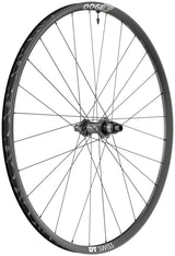 DT Swiss X 1900 Spline 25 Rear Wheel - 29", 12 x 148mm, Center-Lock, XD, Black
