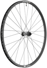 DT Swiss X 1900 Spline 25 Front Wheel - 29", 15 x 110mm, Center-Lock, Black