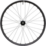 WTB CZR i30 Rear Wheel - 29", 12 x 148mm, 6-Bolt, Black, Micro Spline, 28H